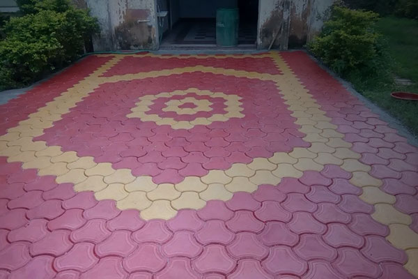 Interlocking Paver Blocks